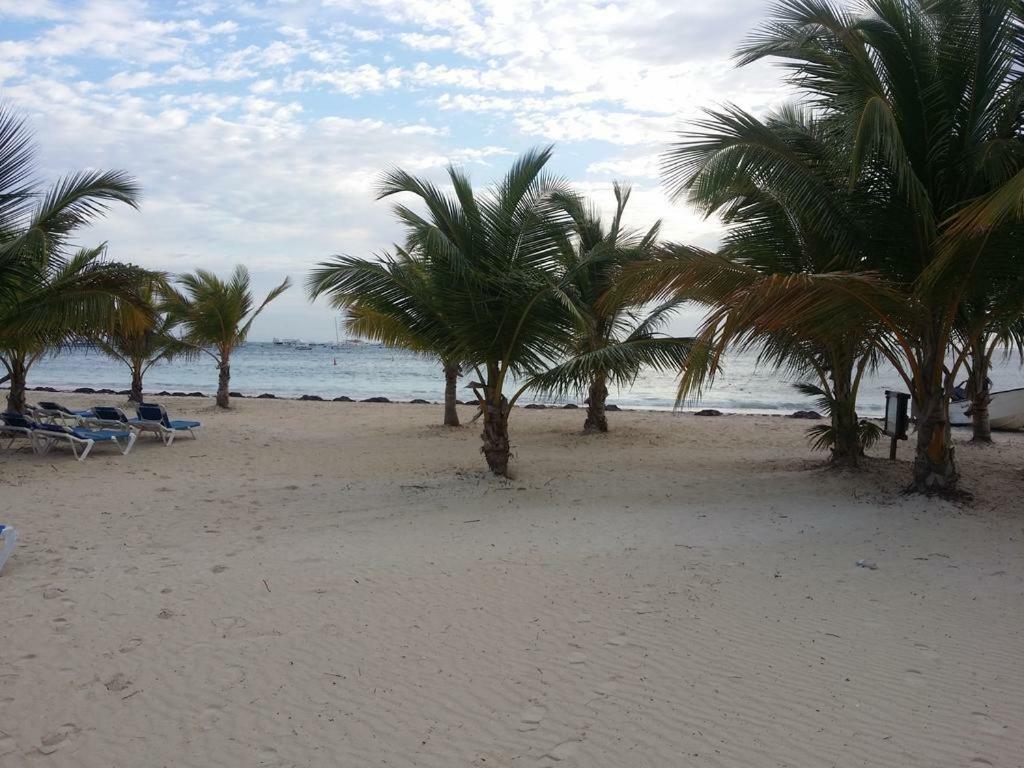 Mel Bavaro Beach, Share
